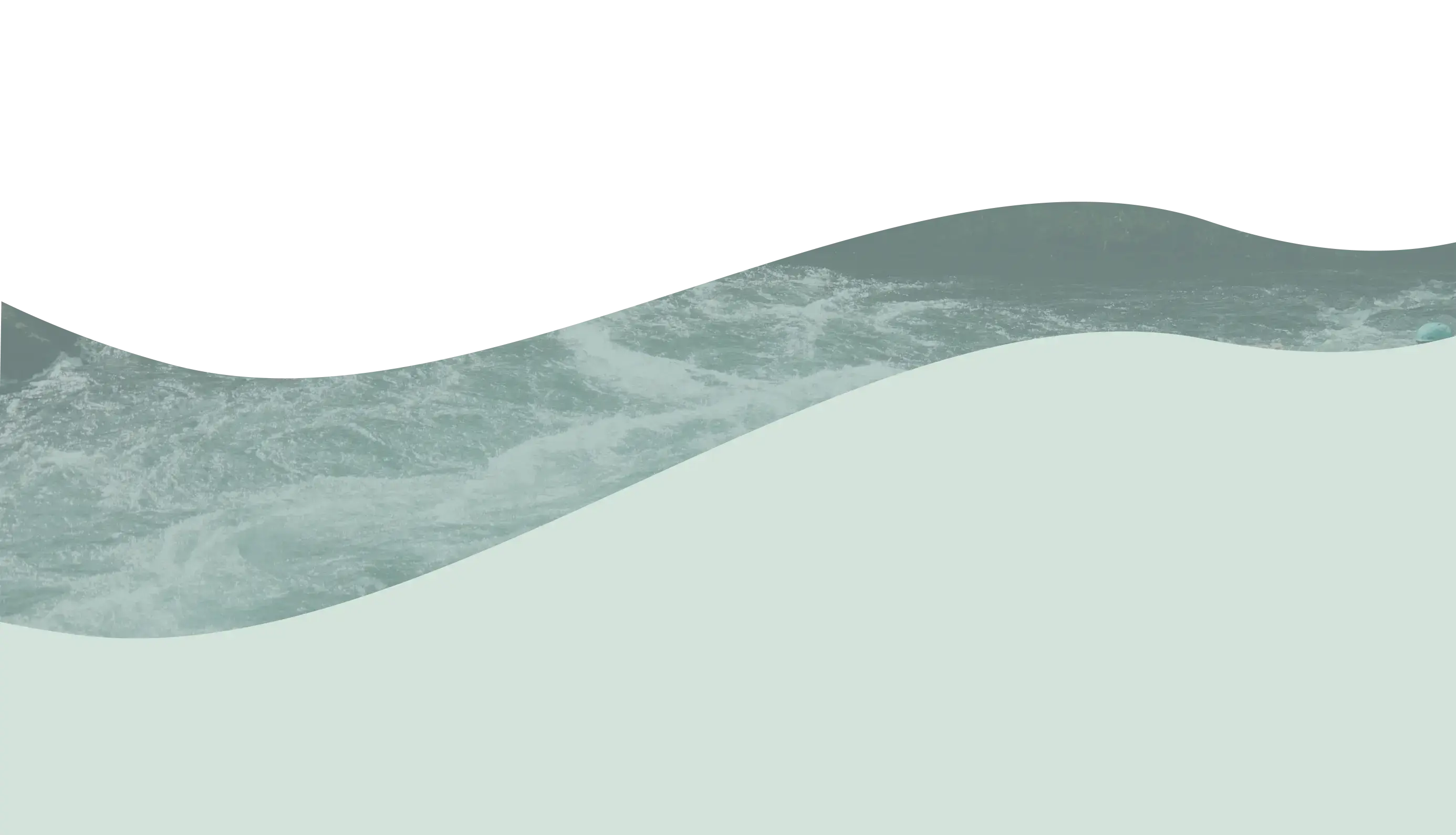 Upcoming trips background